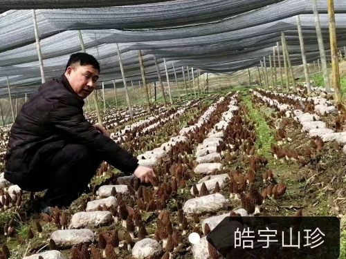 &#20048;&#40060;&#22312;&#32447;&#45;&#20048;&#40060;&#22312;&#32447;&#40;&#20013;&#22269;&#41;