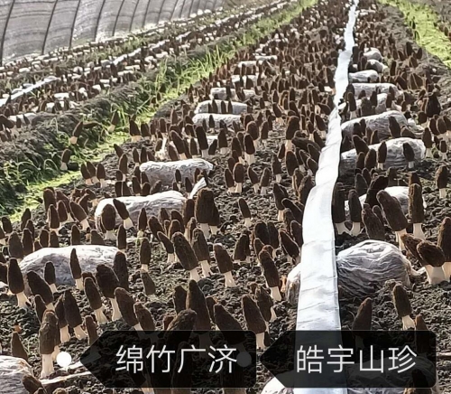 &#20048;&#40060;&#22312;&#32447;&#45;&#20048;&#40060;&#22312;&#32447;&#40;&#20013;&#22269;&#41;