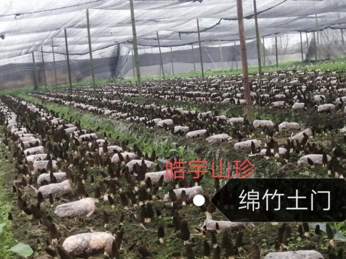 &#20048;&#40060;&#22312;&#32447;&#45;&#20048;&#40060;&#22312;&#32447;&#40;&#20013;&#22269;&#41;