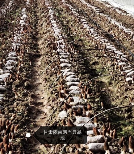 &#20048;&#40060;&#22312;&#32447;&#45;&#20048;&#40060;&#22312;&#32447;&#40;&#20013;&#22269;&#41;