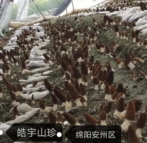 &#20048;&#40060;&#22312;&#32447;&#45;&#20048;&#40060;&#22312;&#32447;&#40;&#20013;&#22269;&#41;