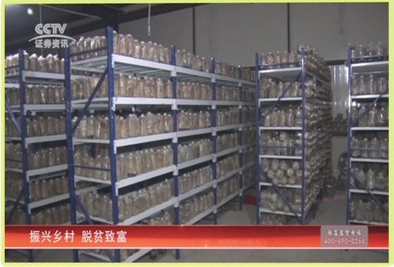 &#20048;&#40060;&#22312;&#32447;&#45;&#20048;&#40060;&#22312;&#32447;&#40;&#20013;&#22269;&#41;