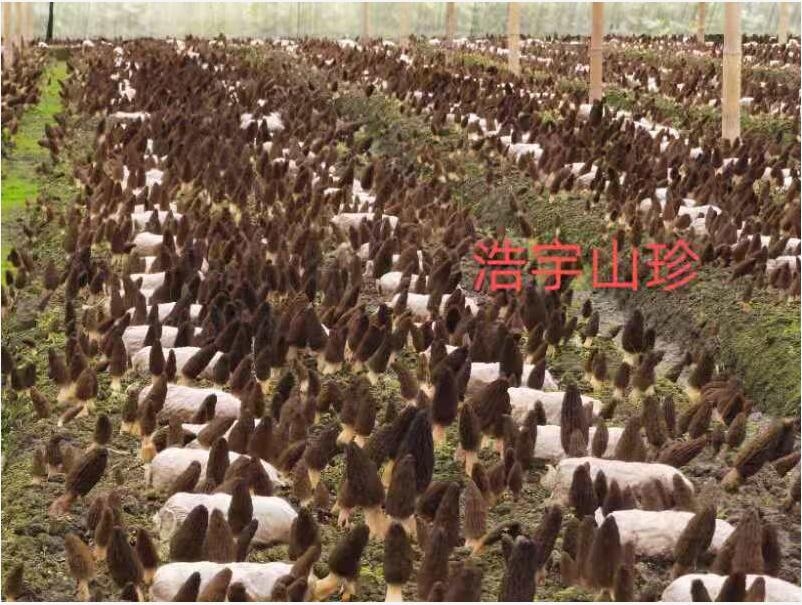 &#20048;&#40060;&#22312;&#32447;&#45;&#20048;&#40060;&#22312;&#32447;&#40;&#20013;&#22269;&#41;