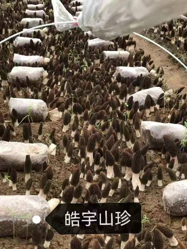 &#20048;&#40060;&#22312;&#32447;&#45;&#20048;&#40060;&#22312;&#32447;&#40;&#20013;&#22269;&#41;