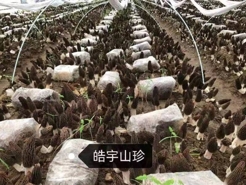 &#20048;&#40060;&#22312;&#32447;&#45;&#20048;&#40060;&#22312;&#32447;&#40;&#20013;&#22269;&#41;