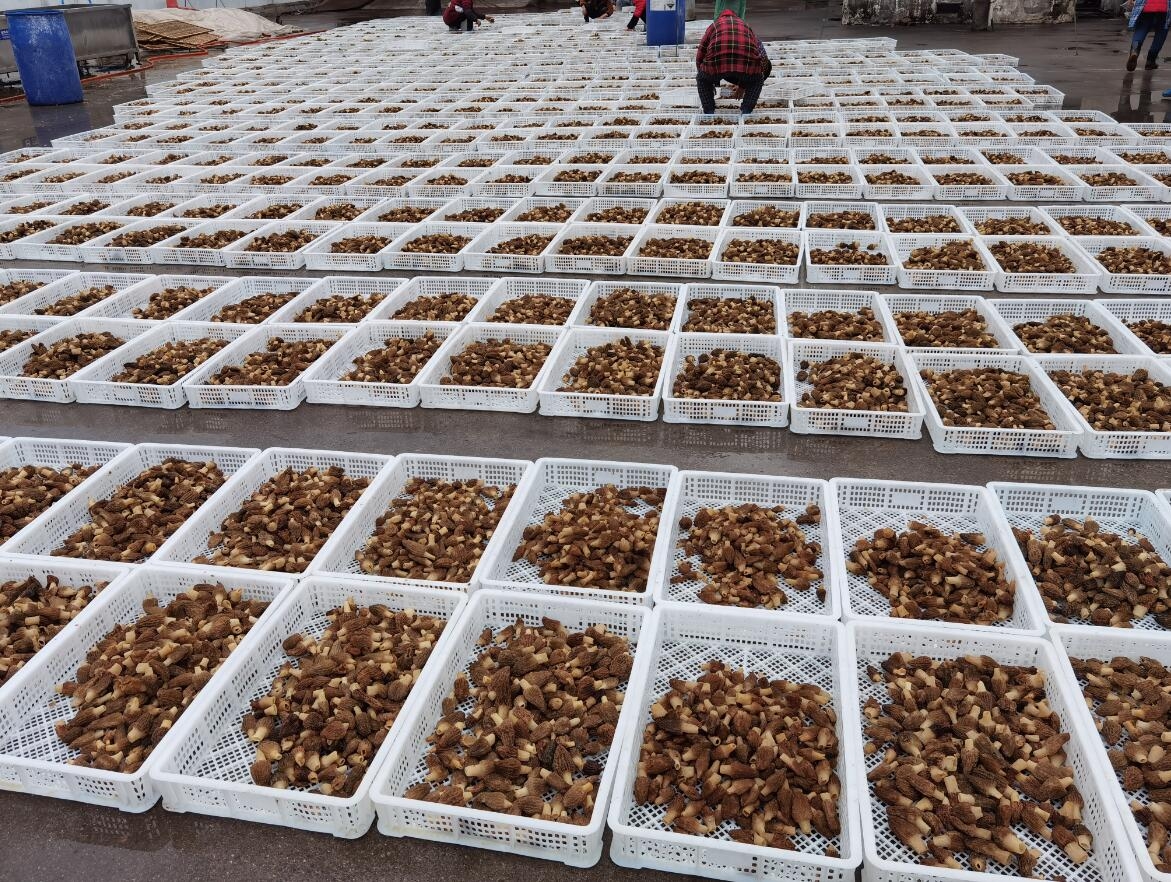 &#20048;&#40060;&#22312;&#32447;&#45;&#20048;&#40060;&#22312;&#32447;&#40;&#20013;&#22269;&#41;