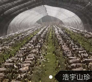 &#20048;&#40060;&#22312;&#32447;&#45;&#20048;&#40060;&#22312;&#32447;&#40;&#20013;&#22269;&#41;