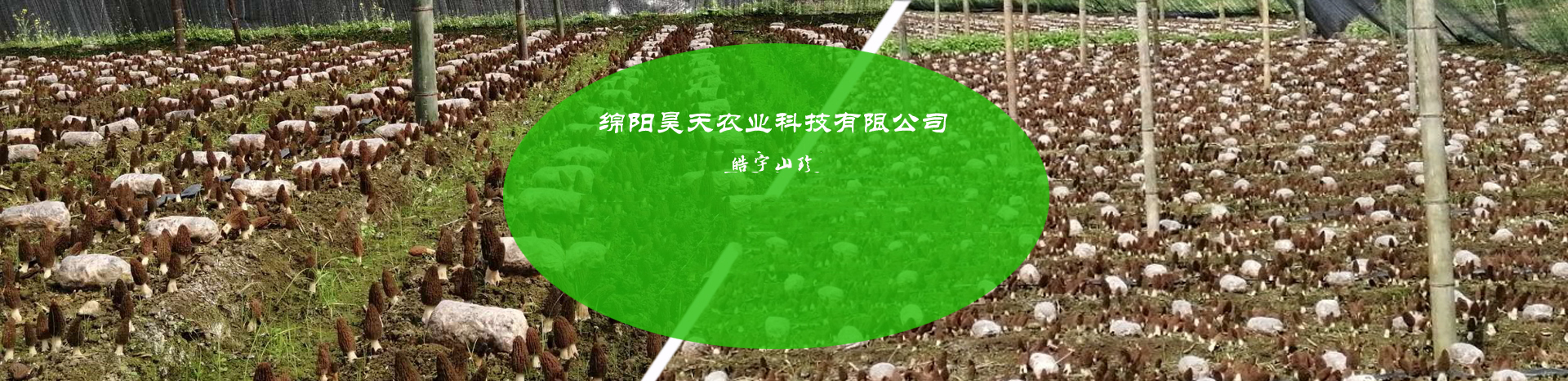 &#20048;&#40060;&#22312;&#32447;&#45;&#20048;&#40060;&#22312;&#32447;&#40;&#20013;&#22269;&#41;