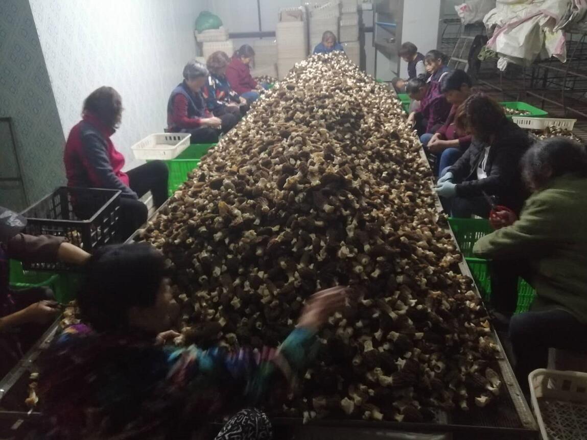 &#20048;&#40060;&#22312;&#32447;&#45;&#20048;&#40060;&#22312;&#32447;&#40;&#20013;&#22269;&#41;