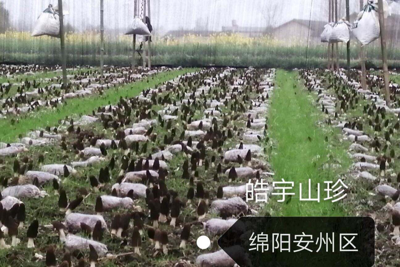 &#20048;&#40060;&#22312;&#32447;&#45;&#20048;&#40060;&#22312;&#32447;&#40;&#20013;&#22269;&#41;