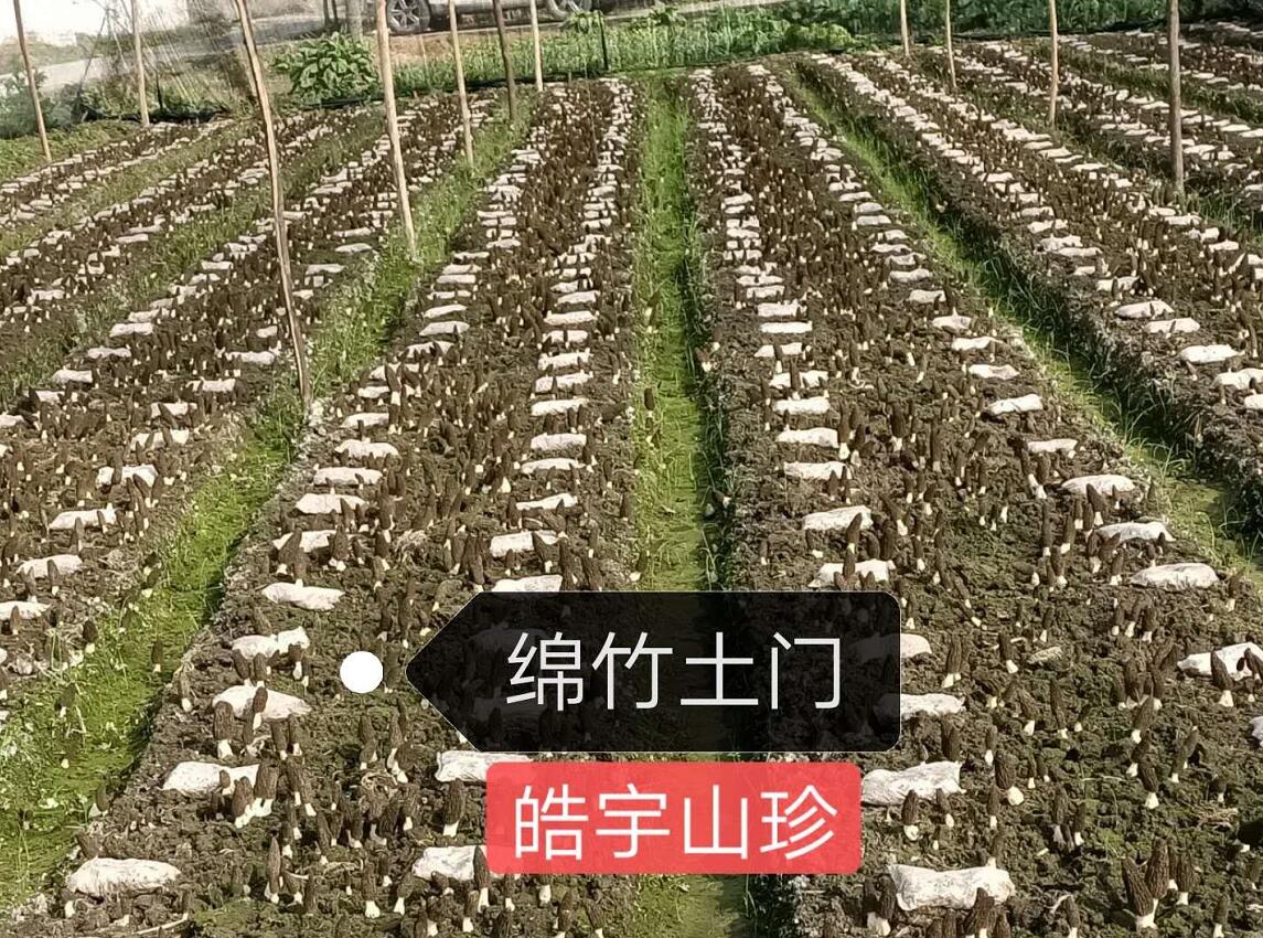 &#20048;&#40060;&#22312;&#32447;&#45;&#20048;&#40060;&#22312;&#32447;&#40;&#20013;&#22269;&#41;