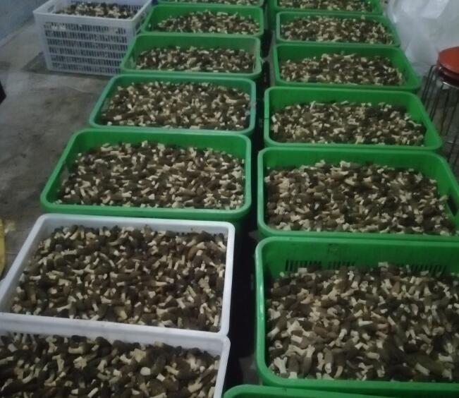 &#20048;&#40060;&#22312;&#32447;&#45;&#20048;&#40060;&#22312;&#32447;&#40;&#20013;&#22269;&#41;