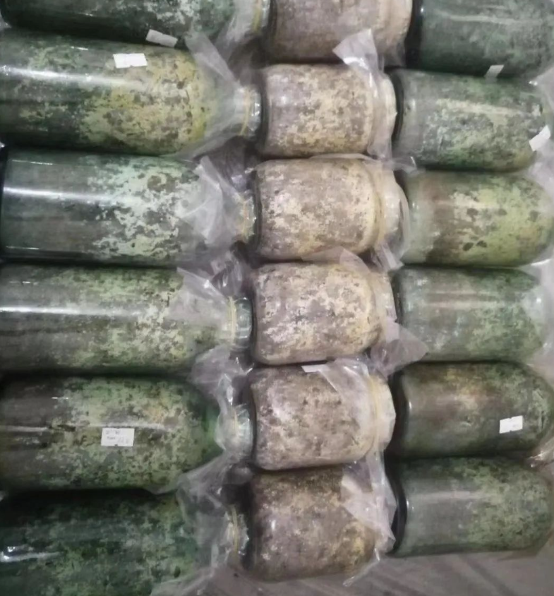 &#20048;&#40060;&#22312;&#32447;&#45;&#20048;&#40060;&#22312;&#32447;&#40;&#20013;&#22269;&#41;